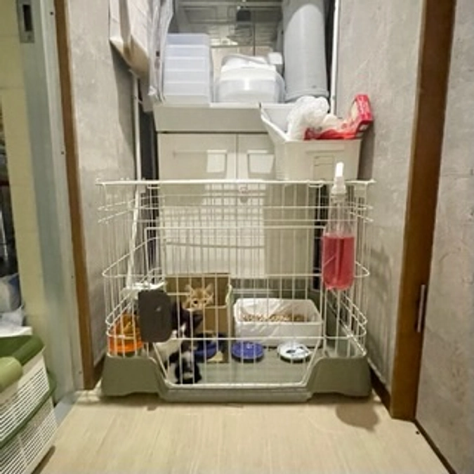 足りない隔離部屋