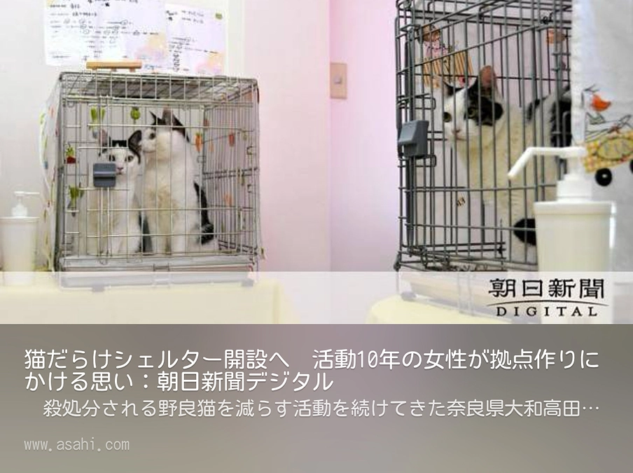 ＝＝ 【もうすぐ80％】本日朝日新聞さんに掲載いただきました！