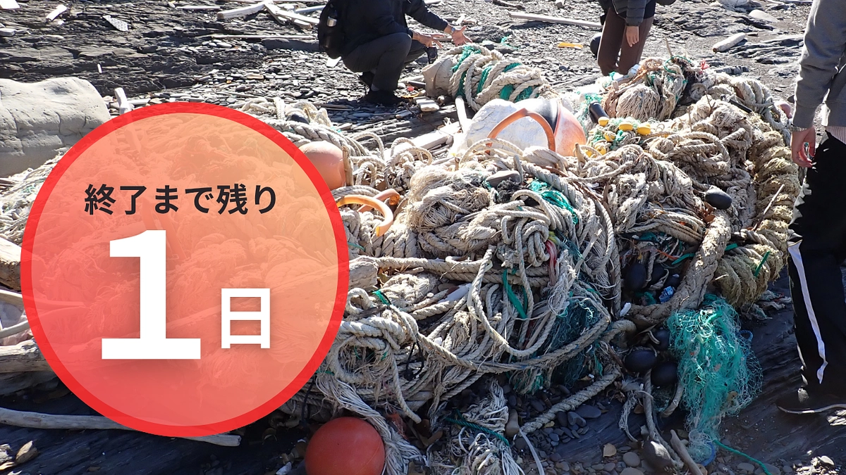 残すところあと1日。皆さまの支援と励ましが大きな力になりました！