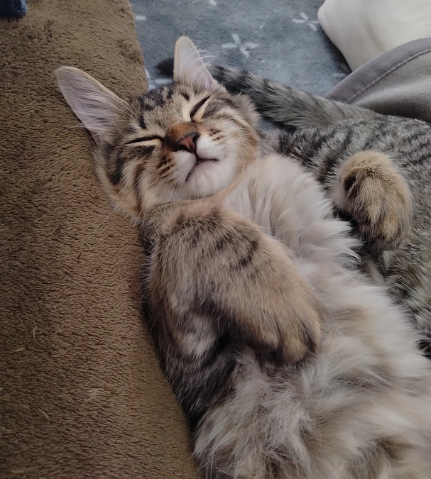 代理支援のご案内