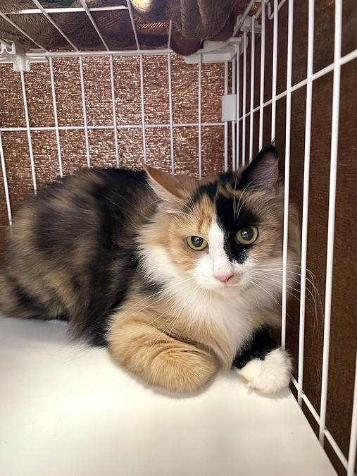 活動報告【2024.9.6】