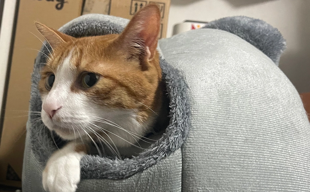 感謝のメッセージ2