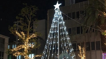 八尾に【光の道】を！イルミネーションロードを作って町を照らしたい！ のトップ画像