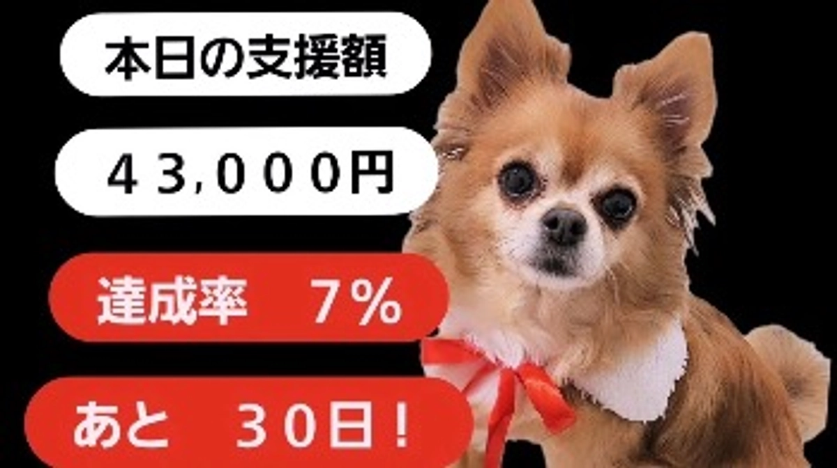 達成率7%⭐️心より感謝申し上げます【活動報告6日目】