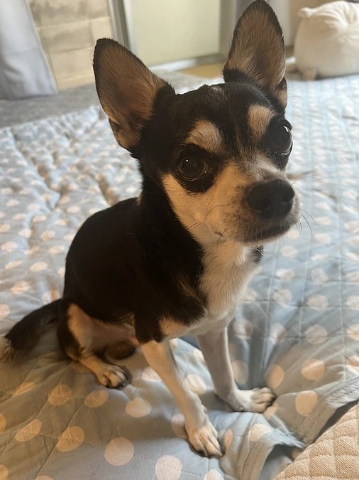 クラウドファンディング残り8日‼︎