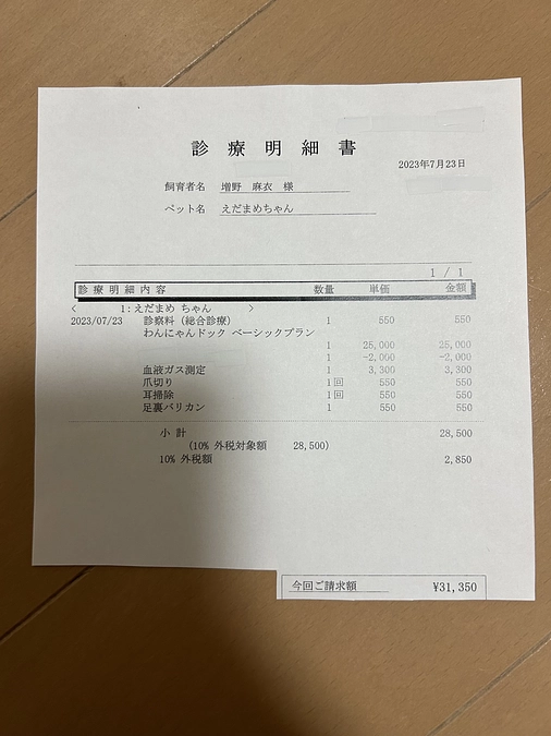 ＊定期検診明細書＊