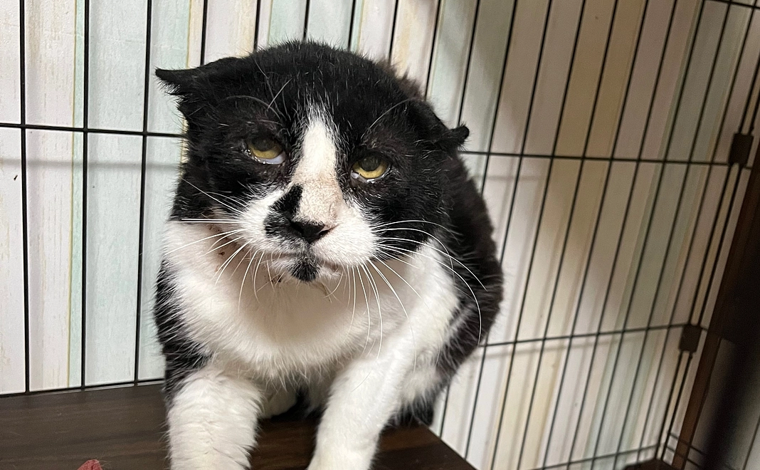 リターンなしコース1000円