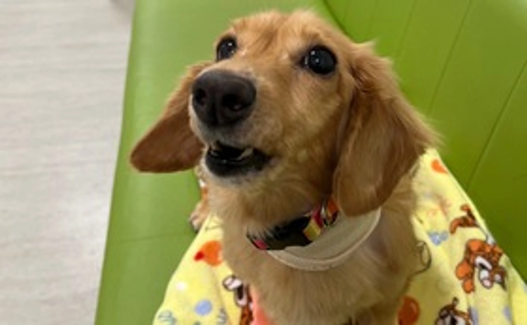 マリーへのご支援1