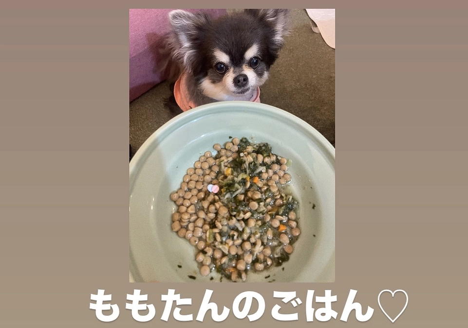 ももたんのごはん♡