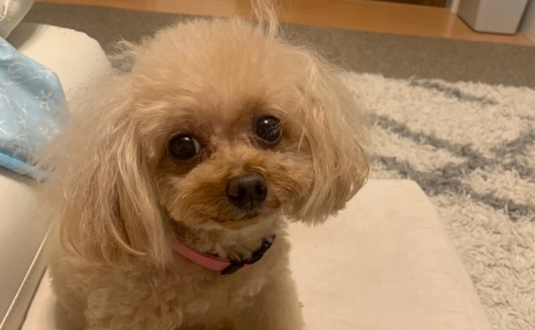 ご支援心より感謝致します。 2