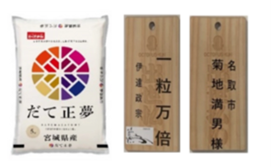 王道応援コース