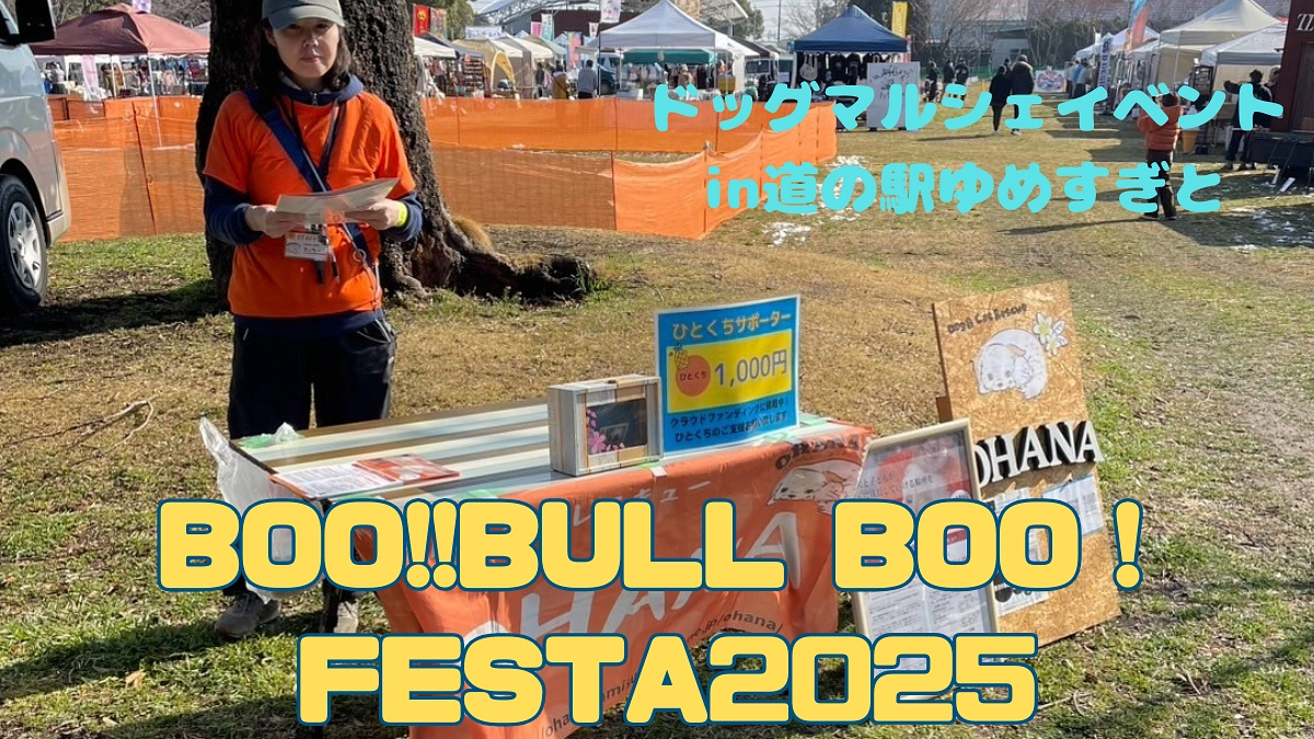 ドッグマルシェイベント「BOO!!BULL BOO！FESTA2025」