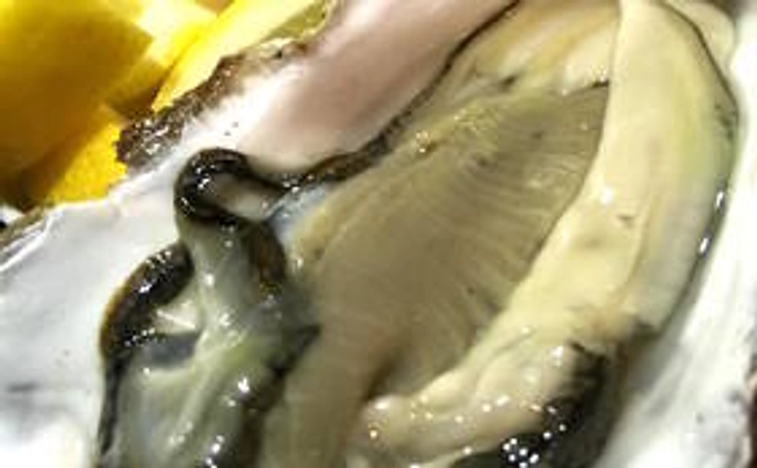 【お店に来られる方向け】お得な割引券セット！