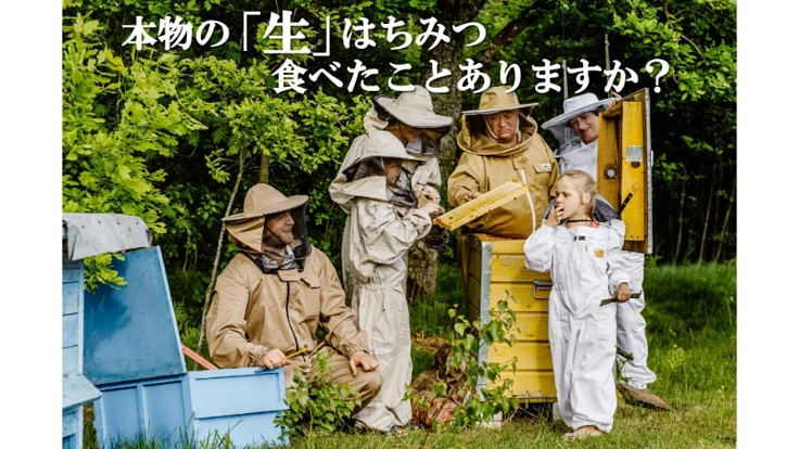 北欧リトアニア産100%天然の「生」はちみつを届けたい！