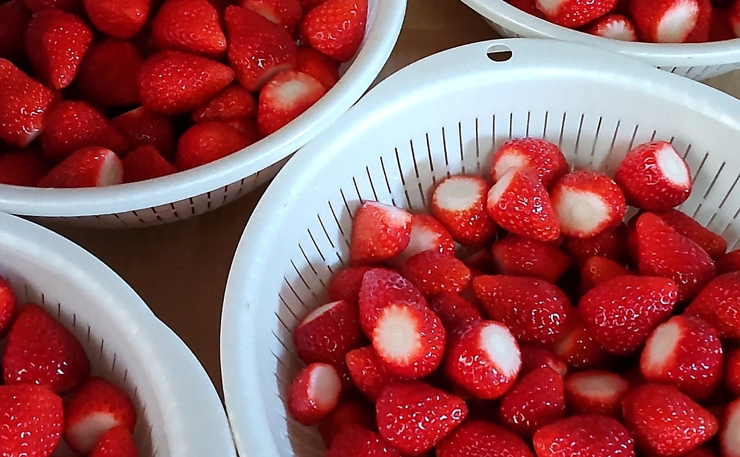 農家直送冷凍いちご