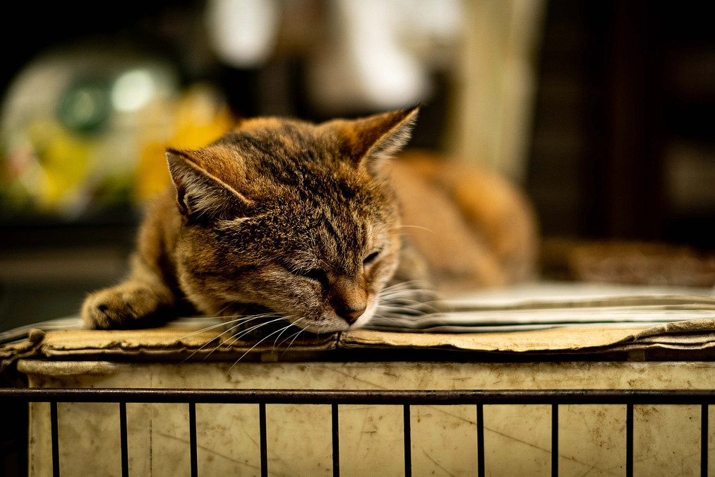7日目　今日は被写体さんと撮影前の面接です。
