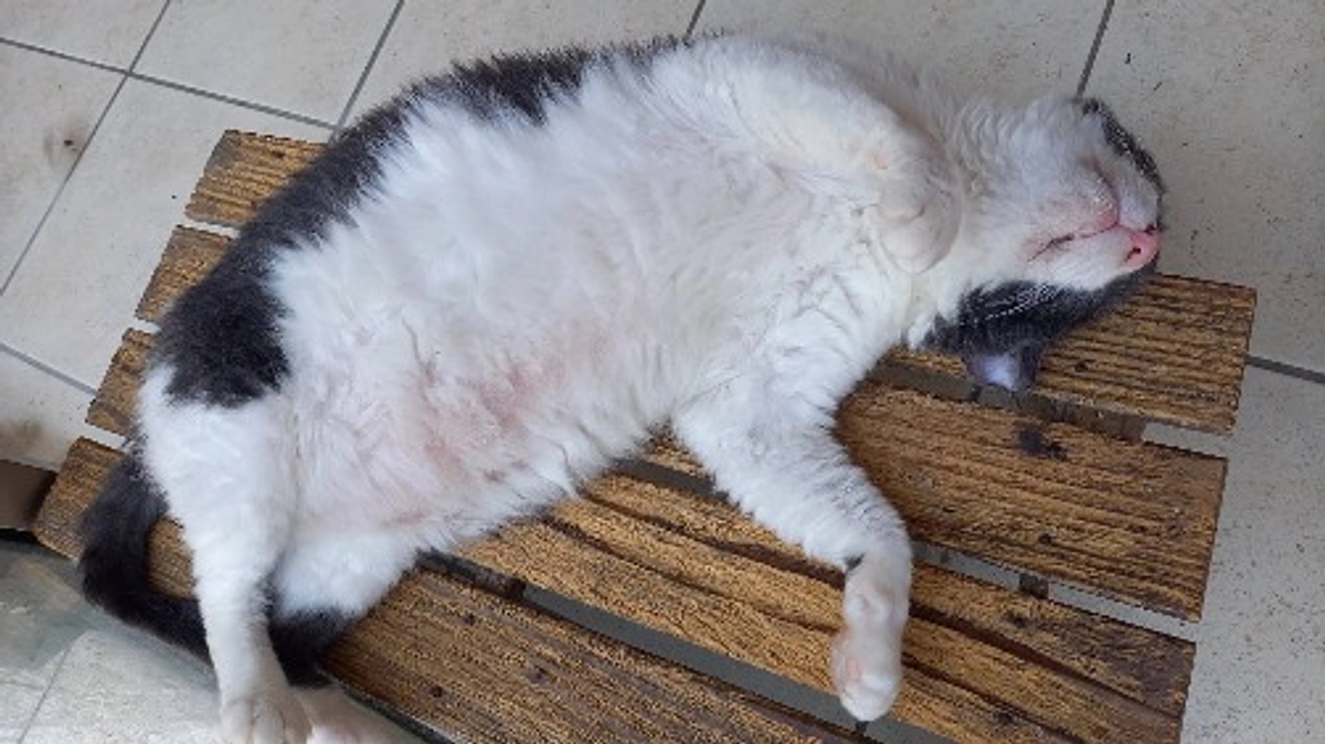 パワーをもらって