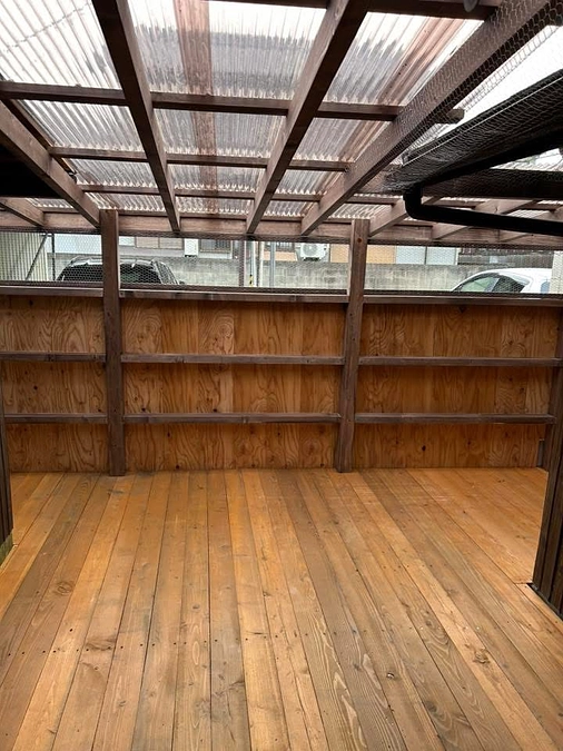 クラファン最終収支ご報告です🐱