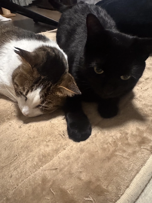 ありがとうの気持ちでいっぱいです