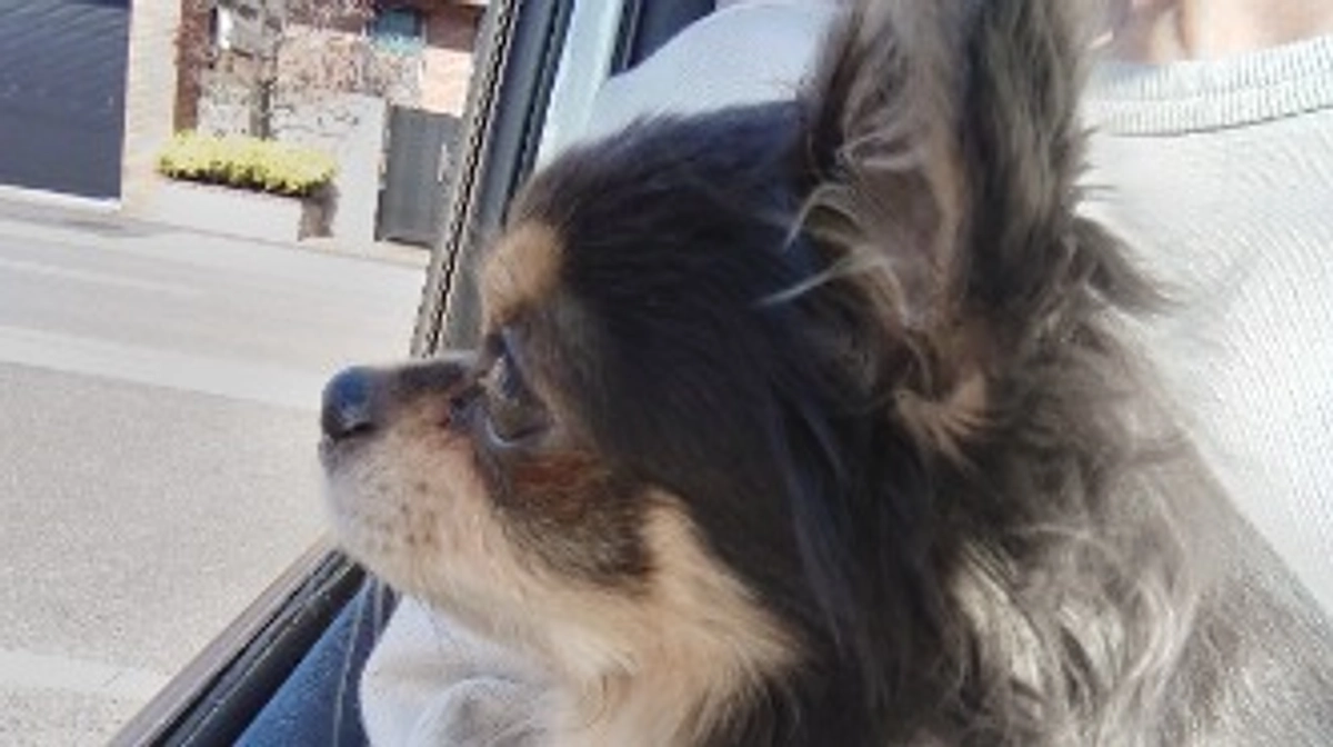 代理支援について