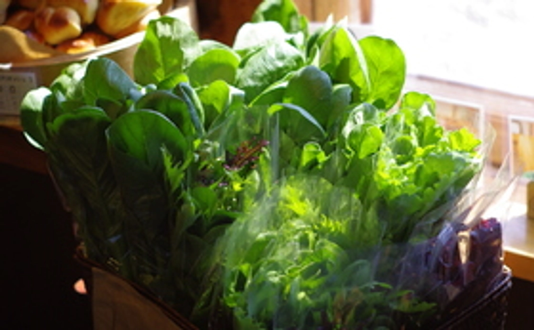 低農薬の新鮮野菜と自家製ハーブソースの詰め合わせ