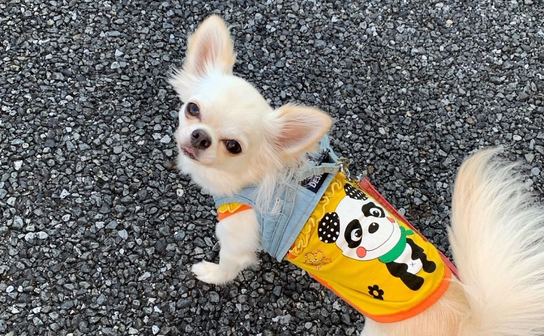 感謝のメールと活動報告50000