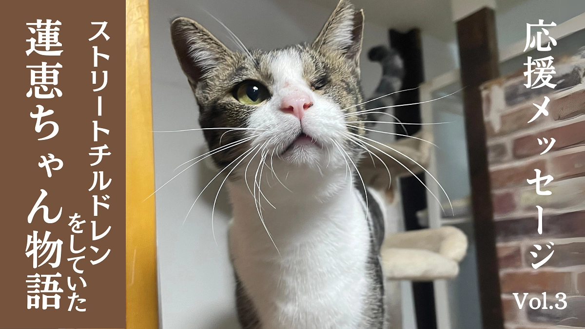 【メッセージリレーVol 3】ストリートチルドレンをしていた蓮恵を保護できたのは彼女のお陰です。