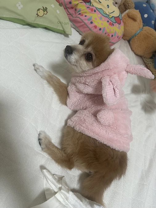 急遽病院へ🏥🆘残り26時間達成率71%🆘