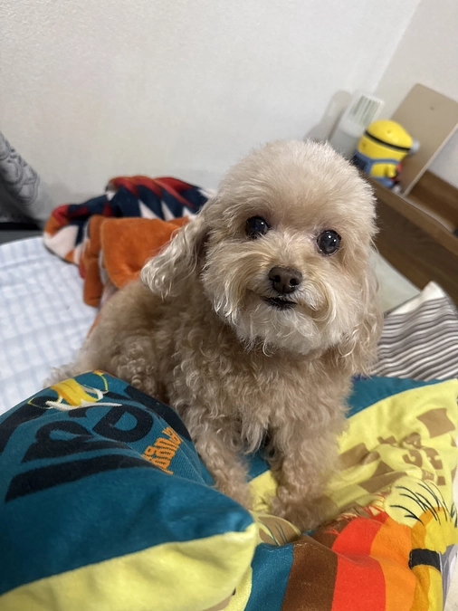 術後からシャンプーできました‼︎