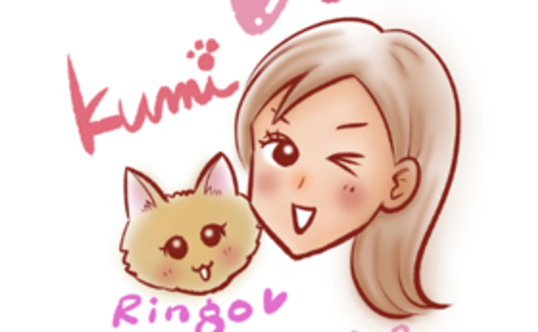 【売り切れ！】