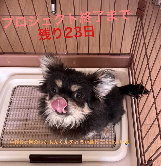 プロジェクト終了まで残り23日　活動報告1回目