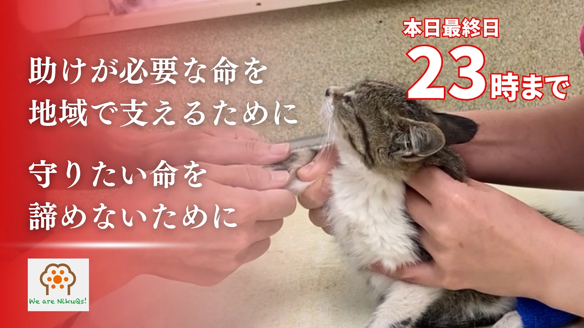 本日最終日！支援募集は23時までです！