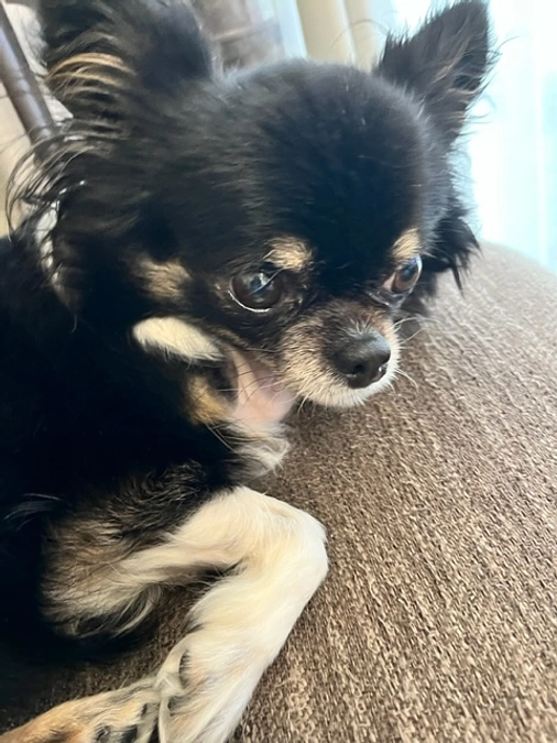 目標達成、御礼申し上げます。