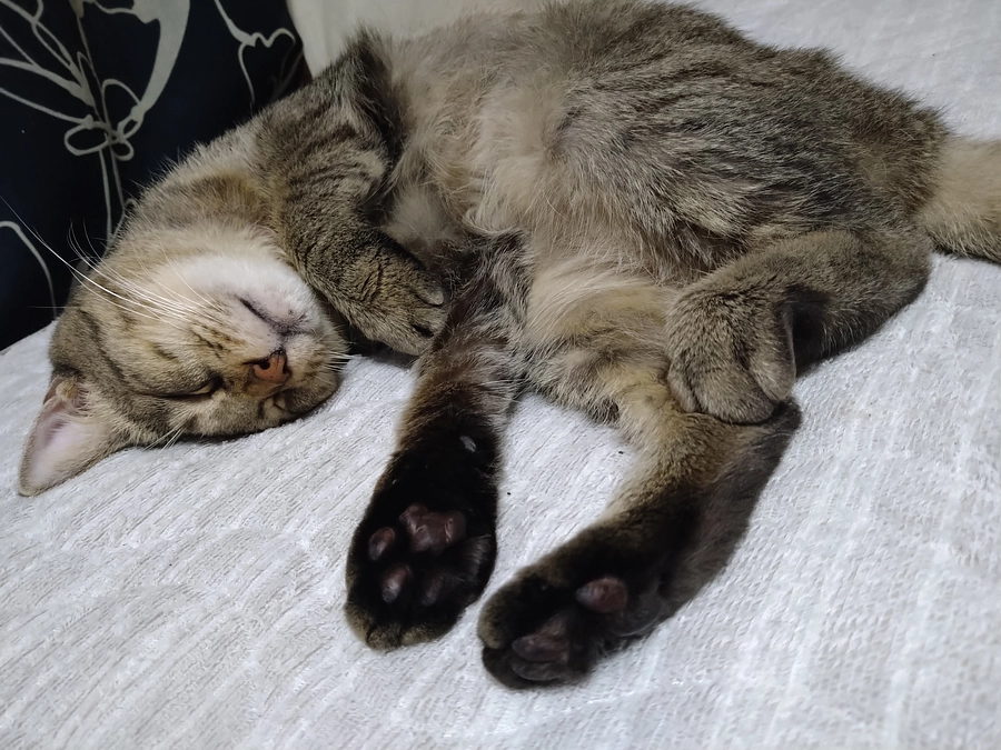 9月26日＜投薬78日目＞