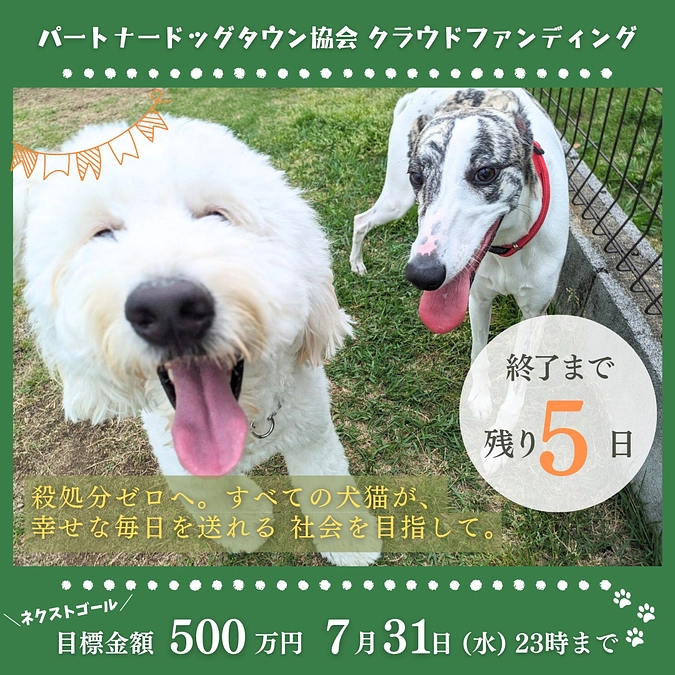 【クラファン終了まで残り5日間】素敵な応援コメントのご紹介