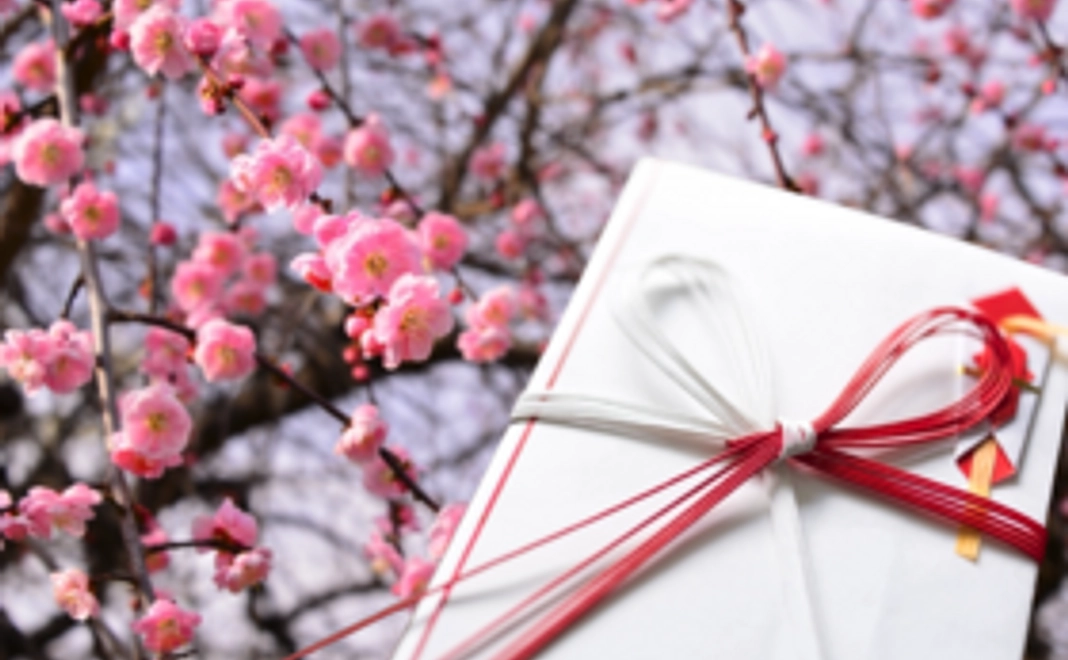 ②開発応援プラン -梅-