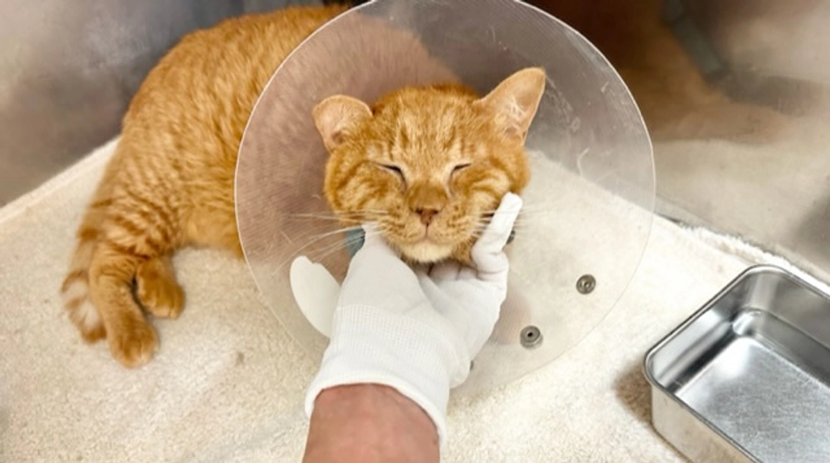 状態落ち着きました!!