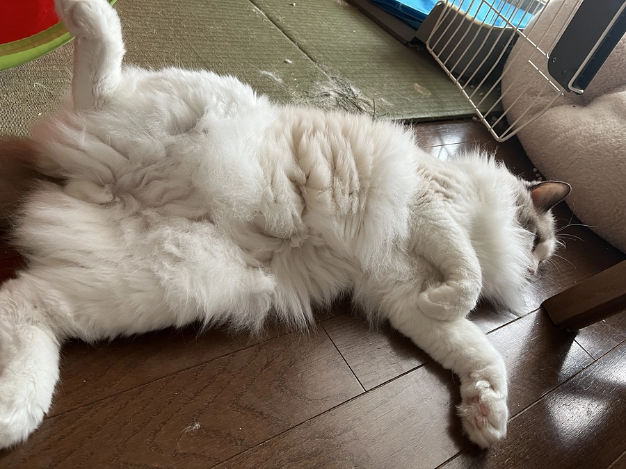 昨日の血液検査結果