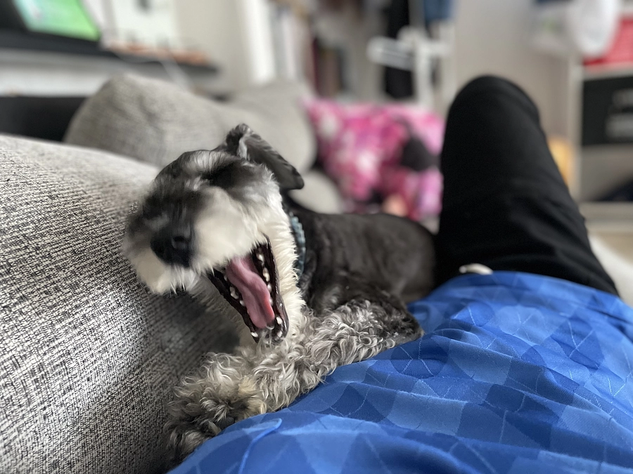 プロジェクトスタート