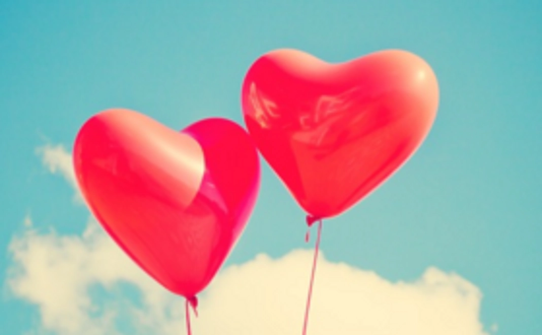 【1ヶ月】プレミアム+上位表示プラン