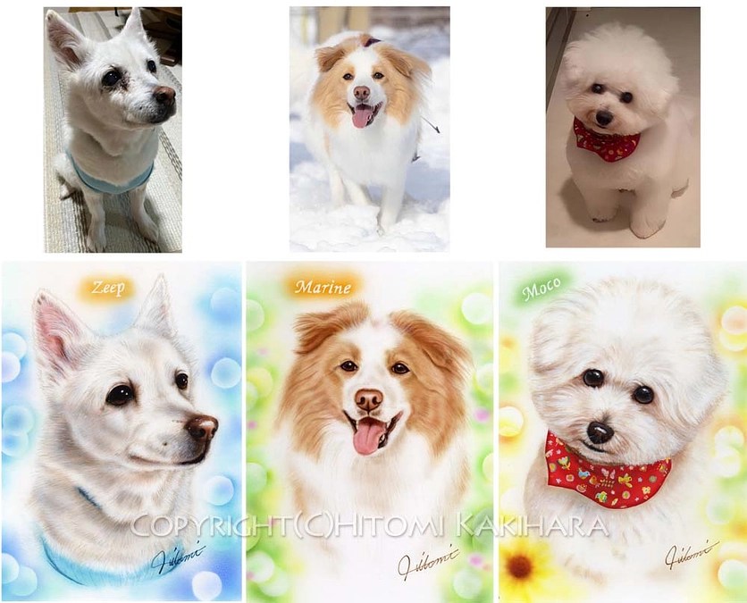 クラウドファンディング リターンのお知らせ かきはらひとみ先生「うちの子」肖像画