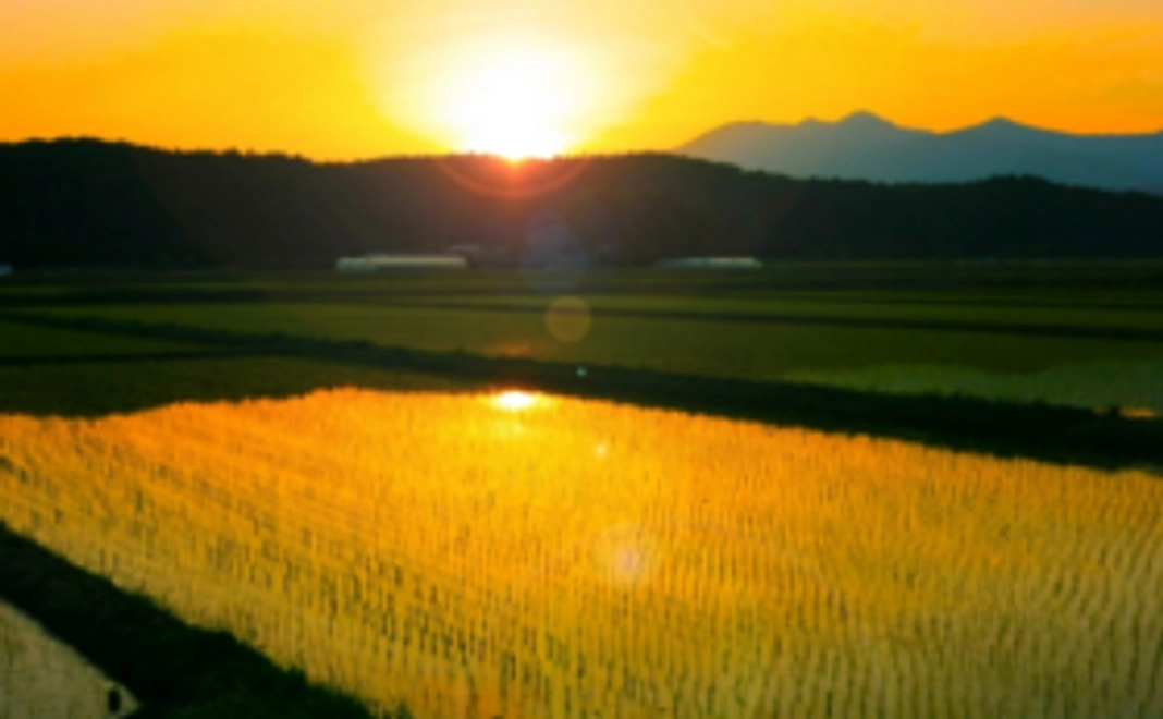 自分で植えたお米を食べれる農業体験　in富良野