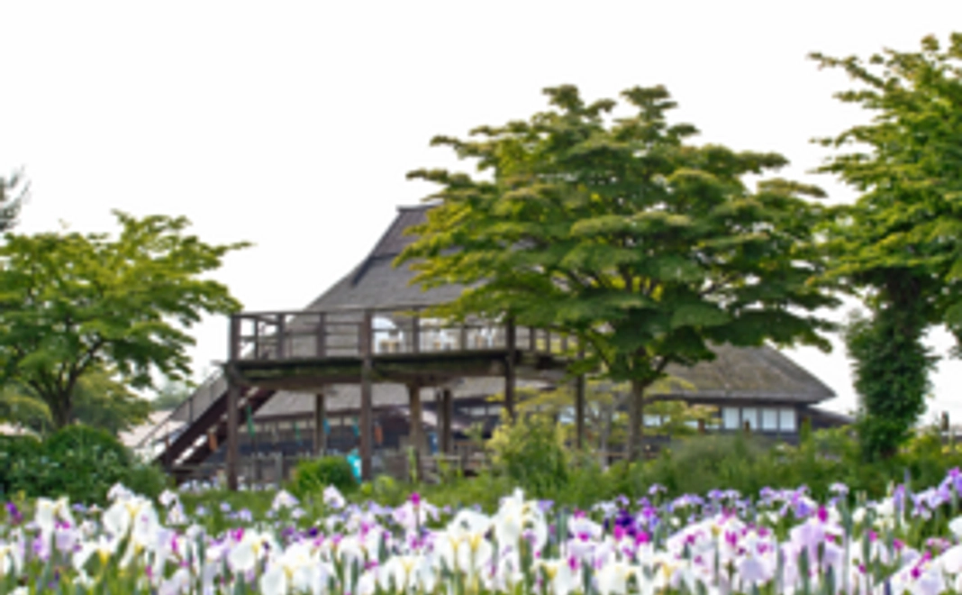 体験してほしいコト・取材してほしい場所をご指定いただけます