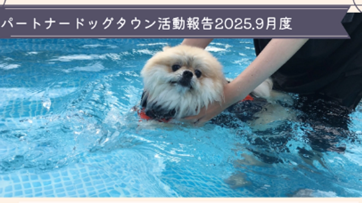 2025年9月度活動報告