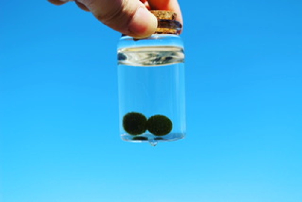 クラウドファンディング