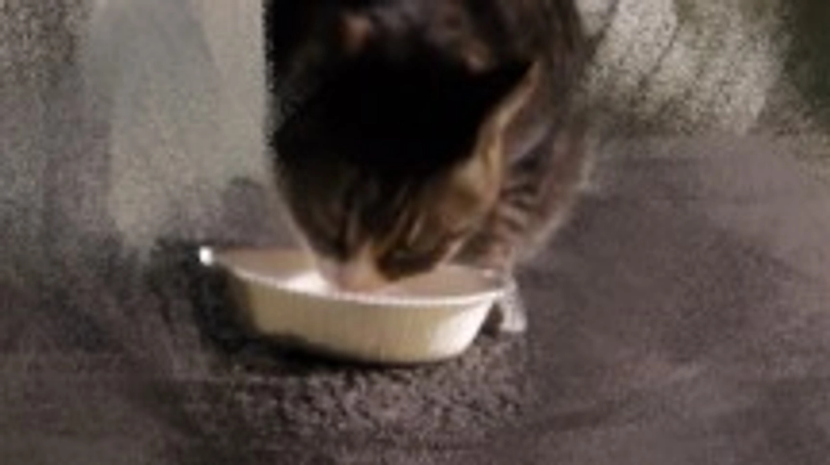 2/10 心配していた子会えました😭