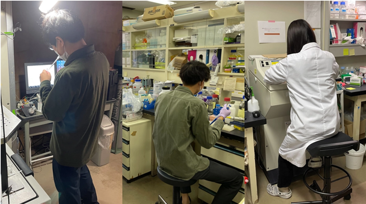 普段の研究の様子をご紹介します！