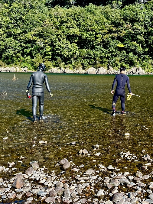 本日より落ちあゆ調査に入りました。