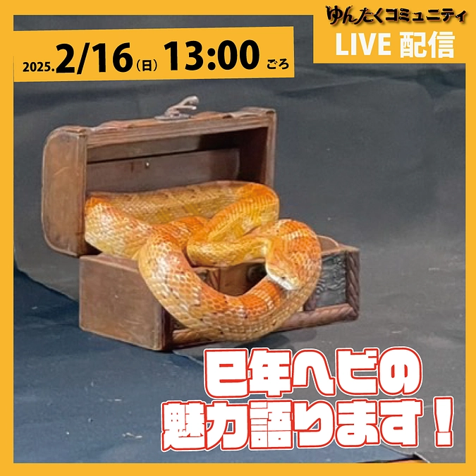 ゆんたくコミュニティ限定ライブ配信「巳年ヘビの魅力語ります！」