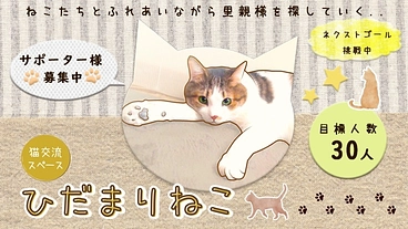 ひだまりサポーター30人募集中〜ふれあい拠点・里親探しのために〜 のトップ画像
